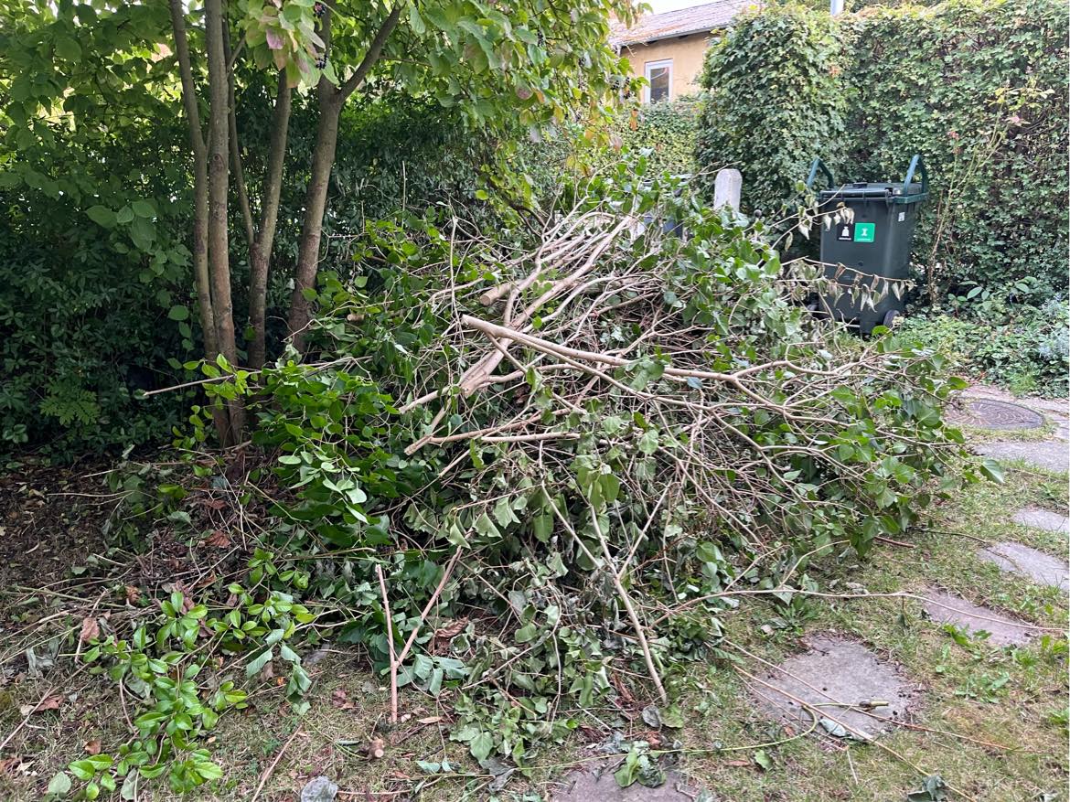 Bortkørsel af grene