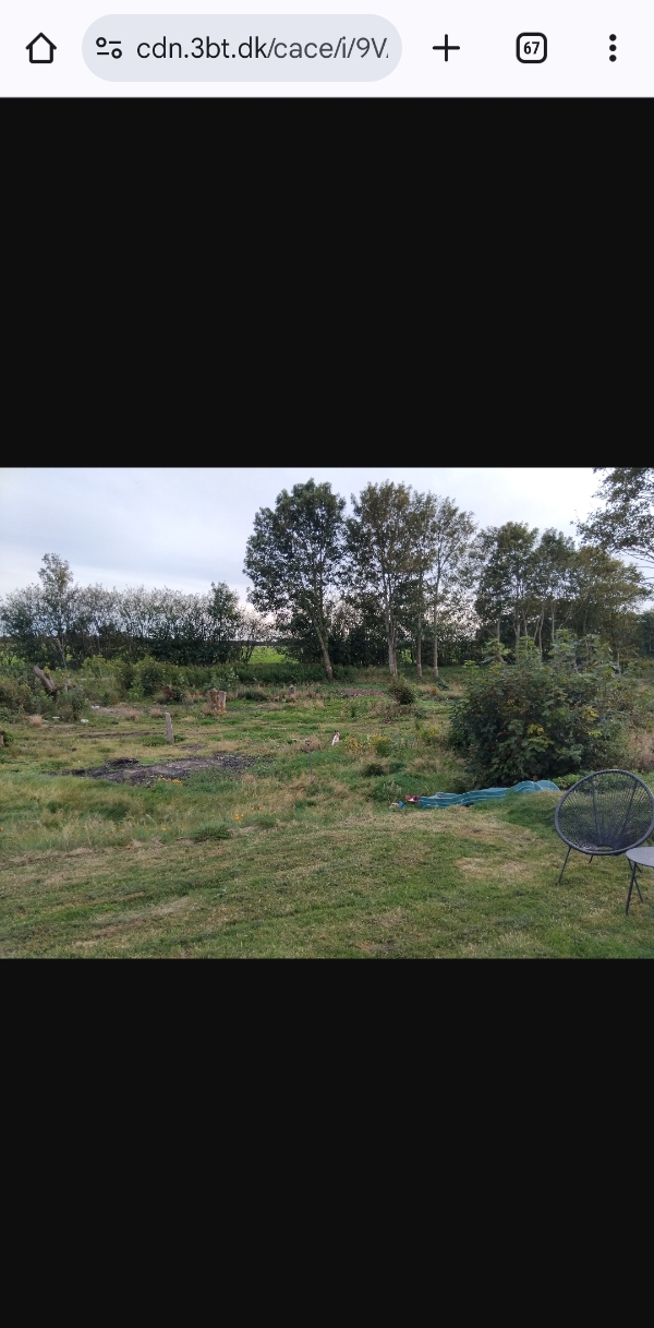 Fræsning af 4300 kvm vild have