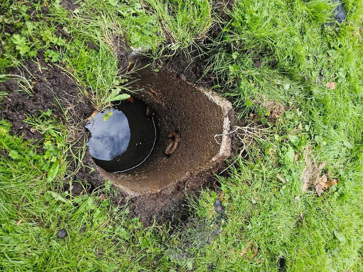 Bønddæksel genetablering