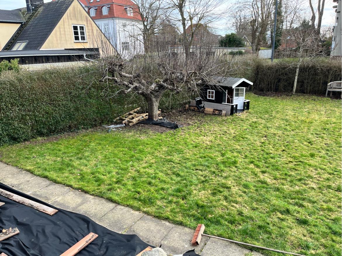 Vertikalskæring og udjævning af grænsplæne