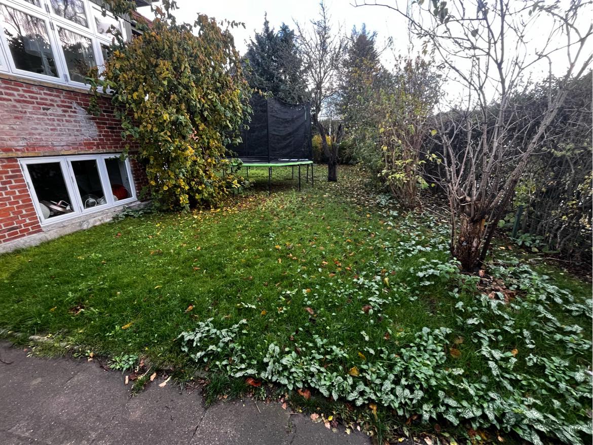 Klargøring af have til salg af hus