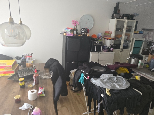 Oprydning og rengøring af hjem.