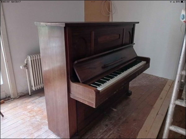 Skilt klaver og smidt ud