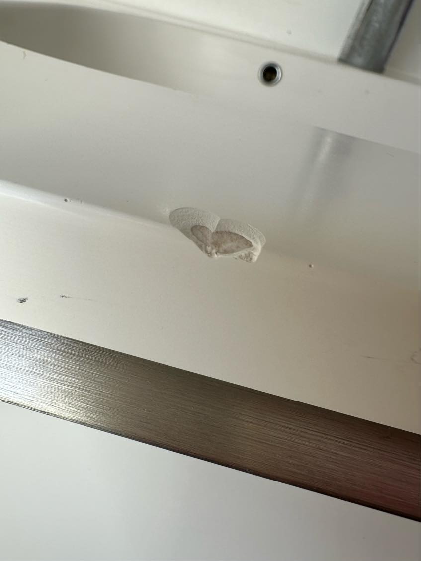 Reperation af komposit bordplade