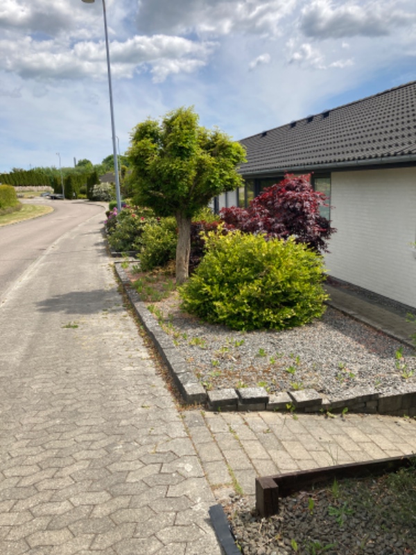 Forhave samt terrasse, evt nye sten og udvidelse af terrasseområde