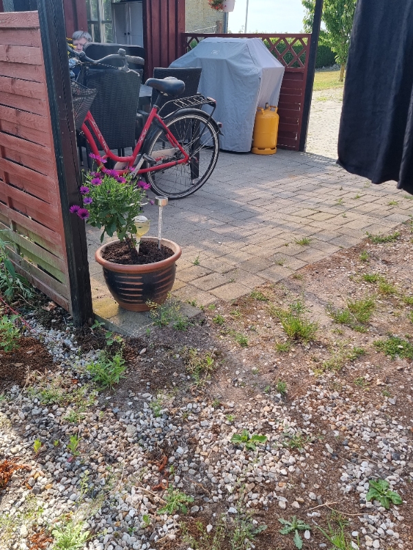 Hjælpe til ukrudt på terrassen og have