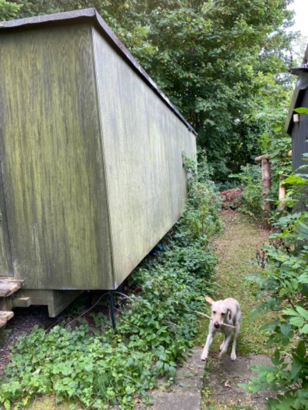 Bortafskaffelse af gammel skurvogn