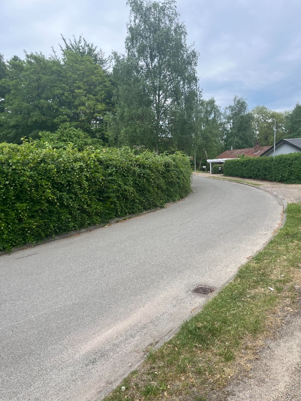 Hækklipning omkring hus