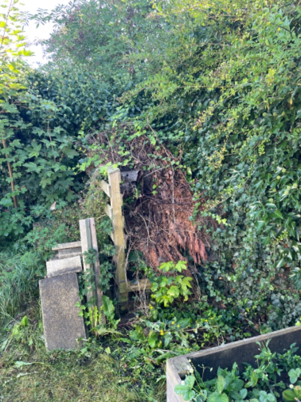 Opgravning og bortkørsel af jord.