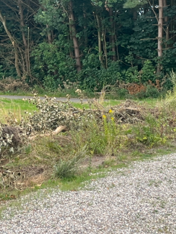 Bortkørsel af affald