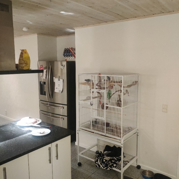 Udspartling, filt og maling af køkken alrum