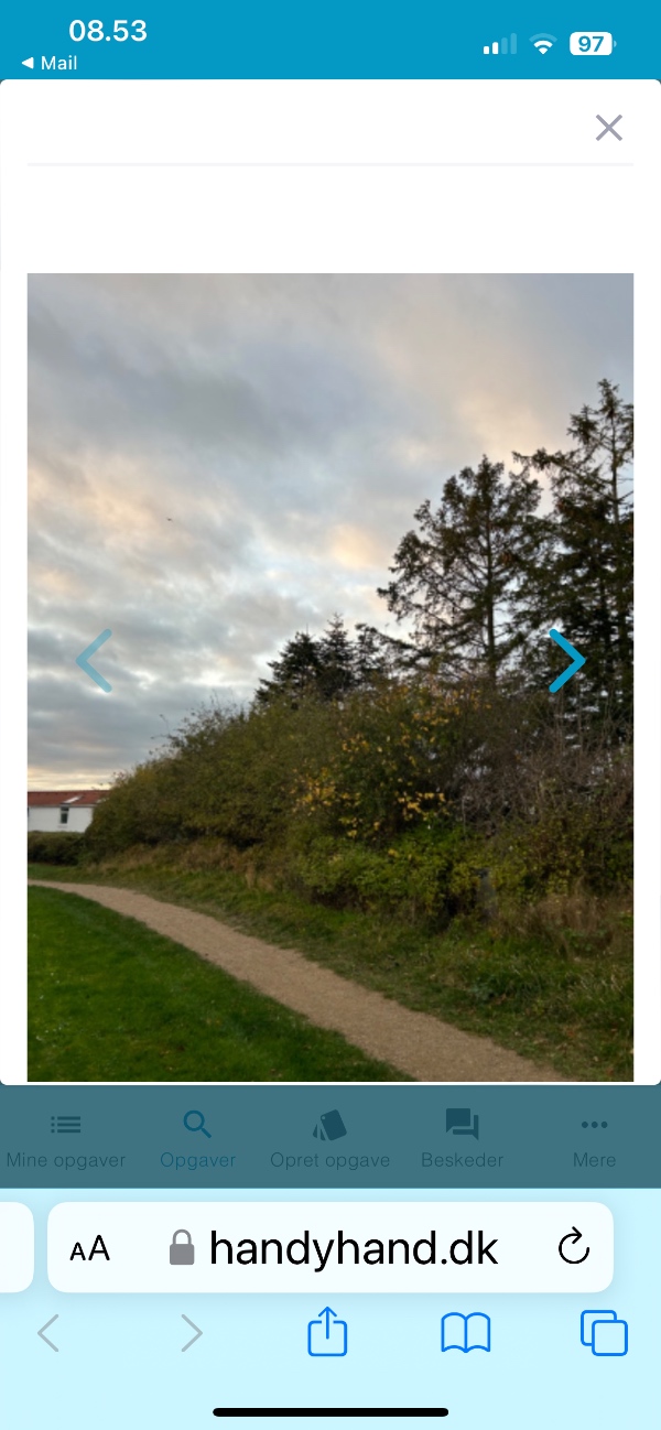 Toppen tages af en hæk på ca. 14 m. samt haveaffald køres væk