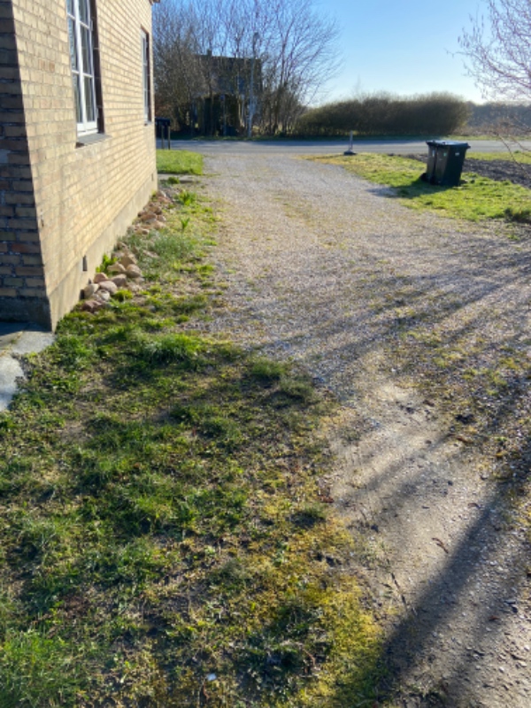 Græsslåning, fjerne ukrudt på terrassen, indkørsel samt gangfliser