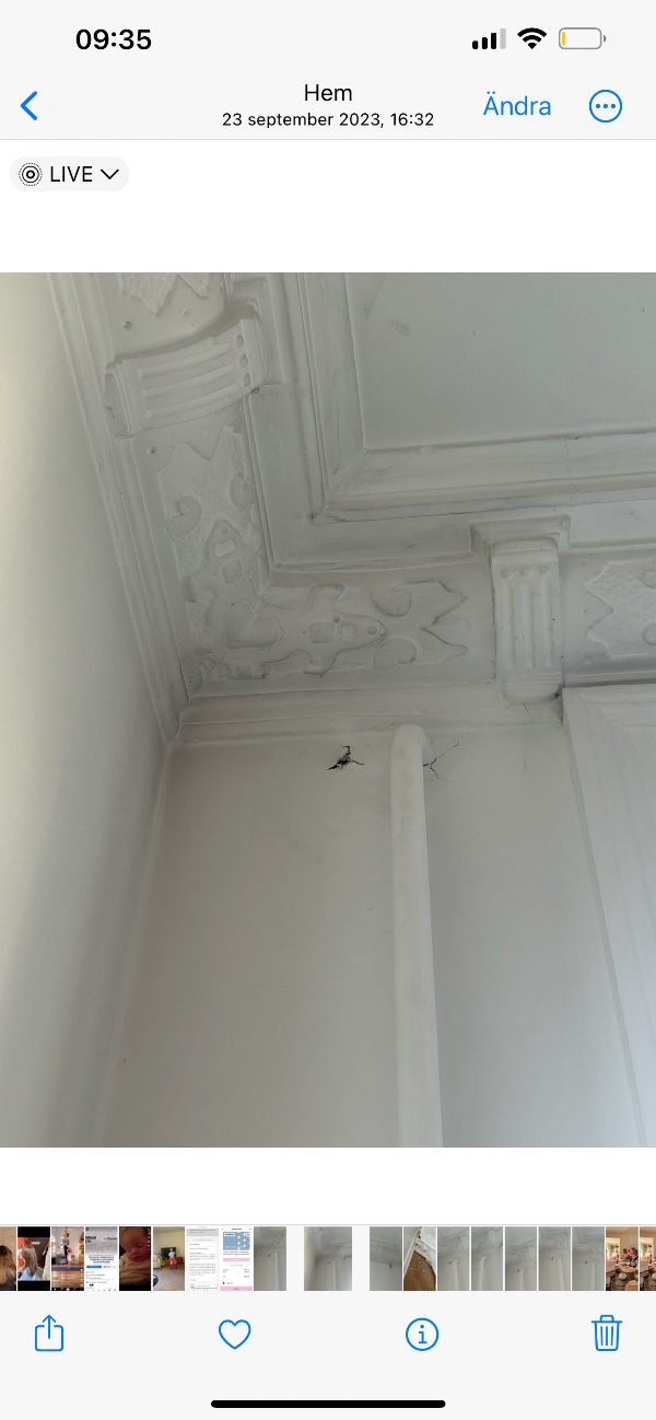 Pudsning, maling og montering af gardinstang