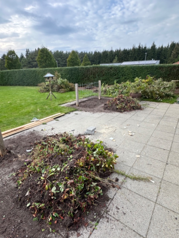 Køre træerne til revas