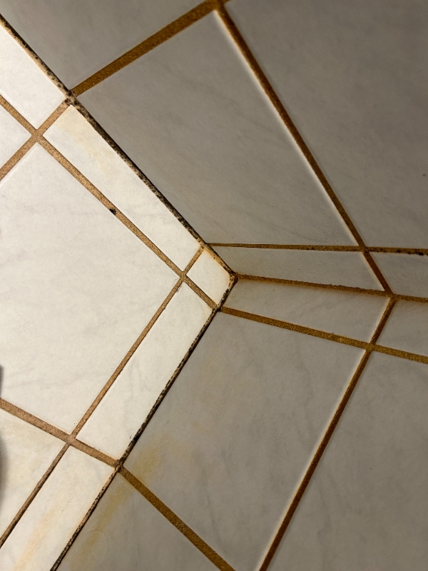 Rengøring og udskiftning af fuge i bruseniche