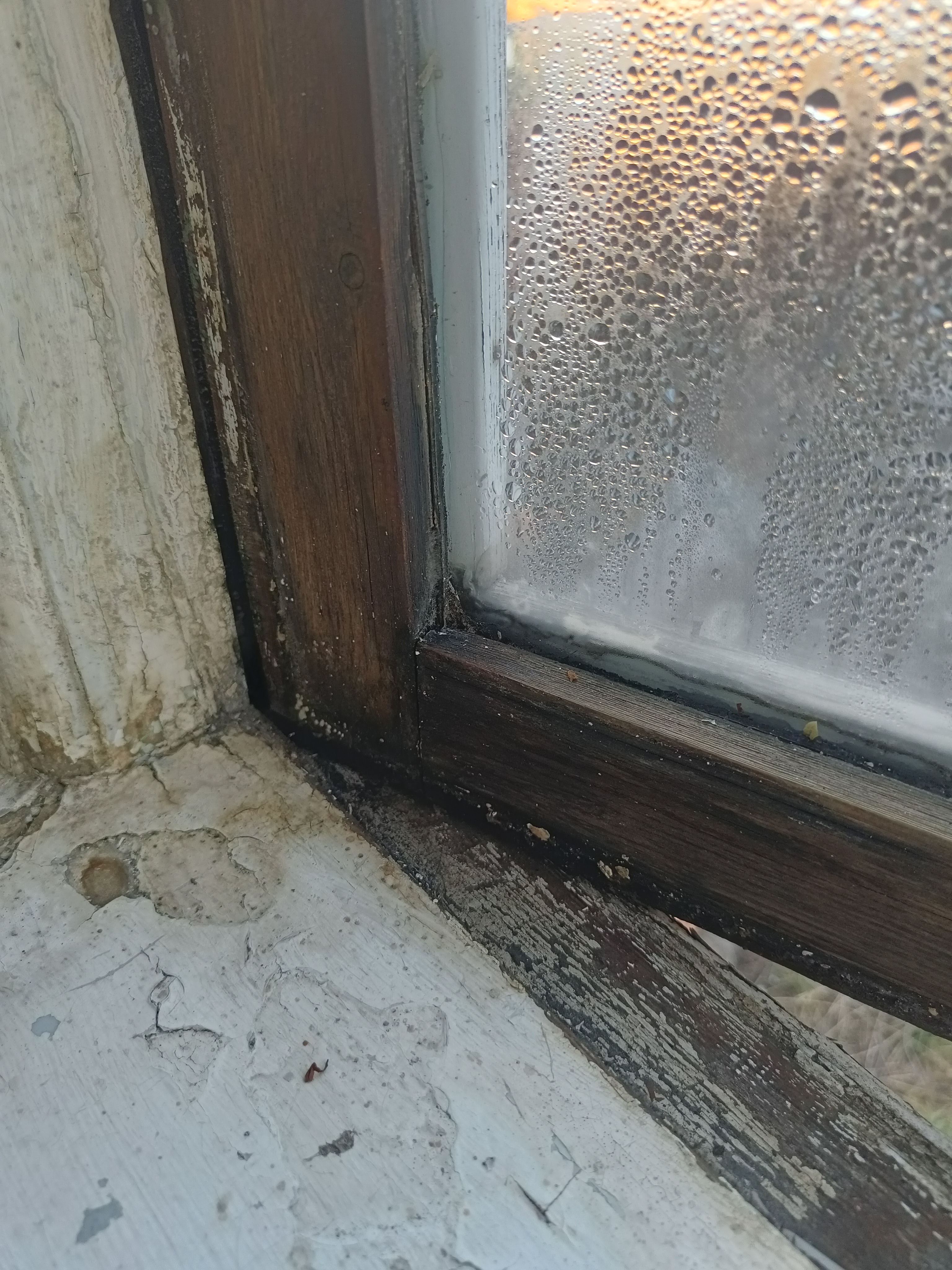 Skift af vindueskarme og 2 vinduer