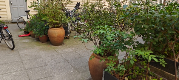 Bortskaffelse af jord og pallekasser, nedtagning af hegn mm.