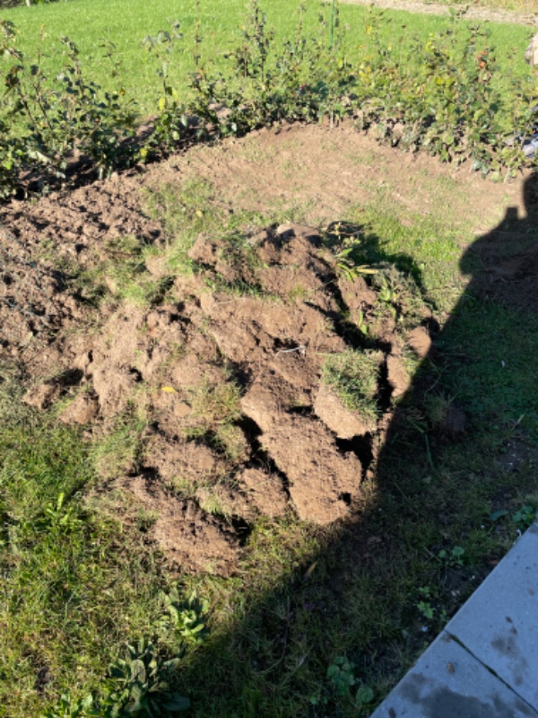 Hente haveaffald til genbrugsplads