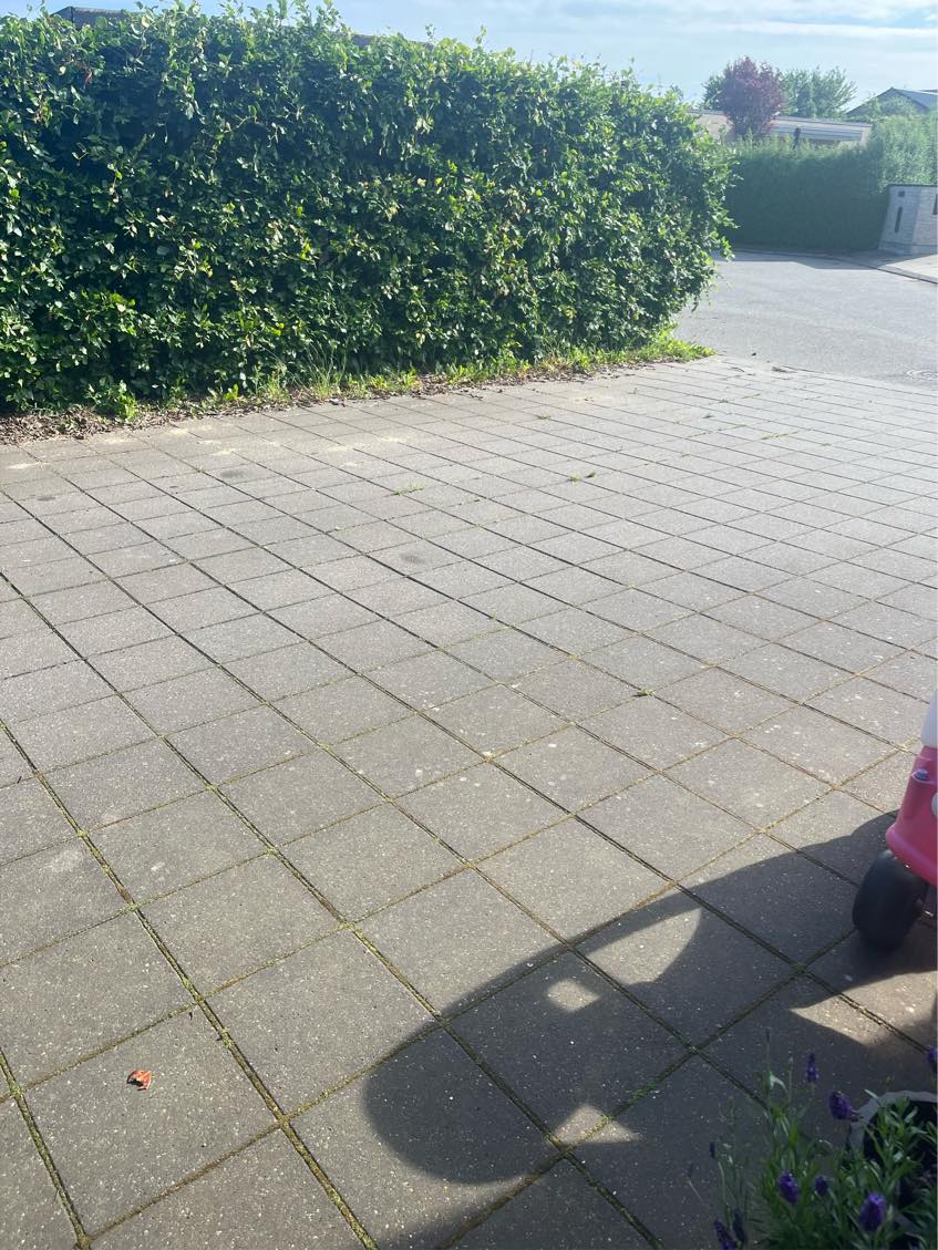 Ukrudtsfjernelse og fliserens af ca. 150 kvm