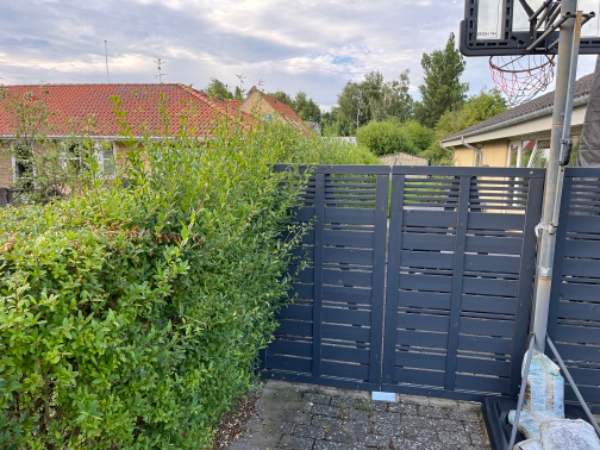 Hækklipning rundt hus