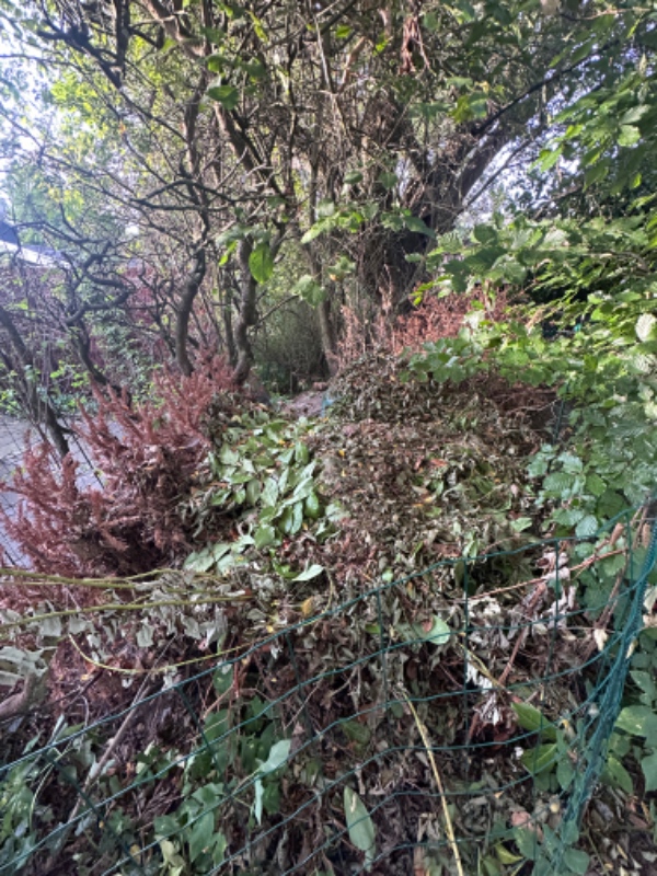 Bortførelse af haveaffald og beskæring af 2 frugttræer