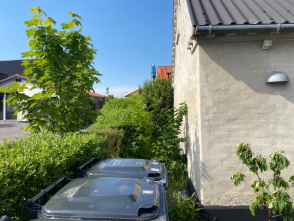 Reparation og pudsning af mure