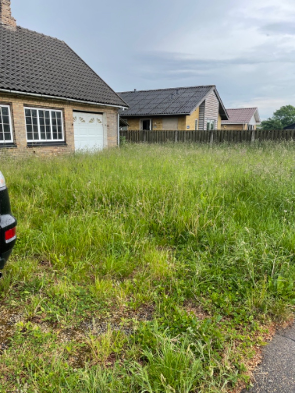 Klipning og trimning af have