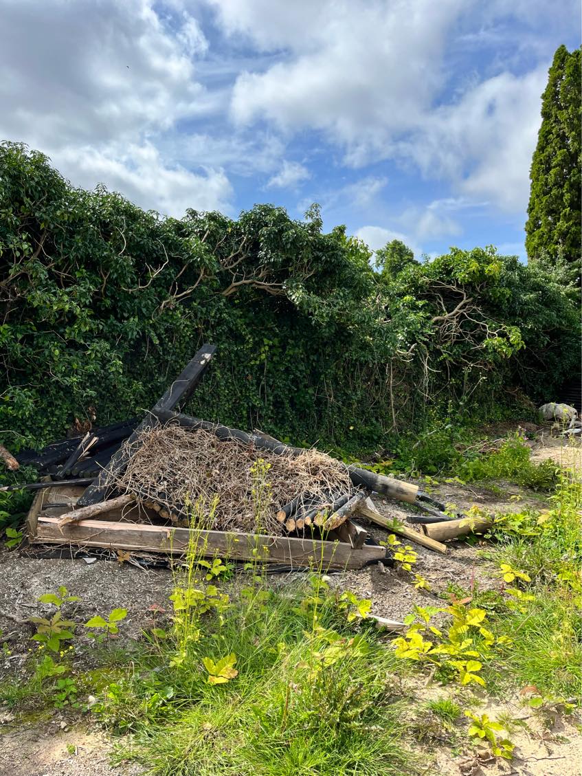 Bortkørsel af nedrevet skur plus diverse