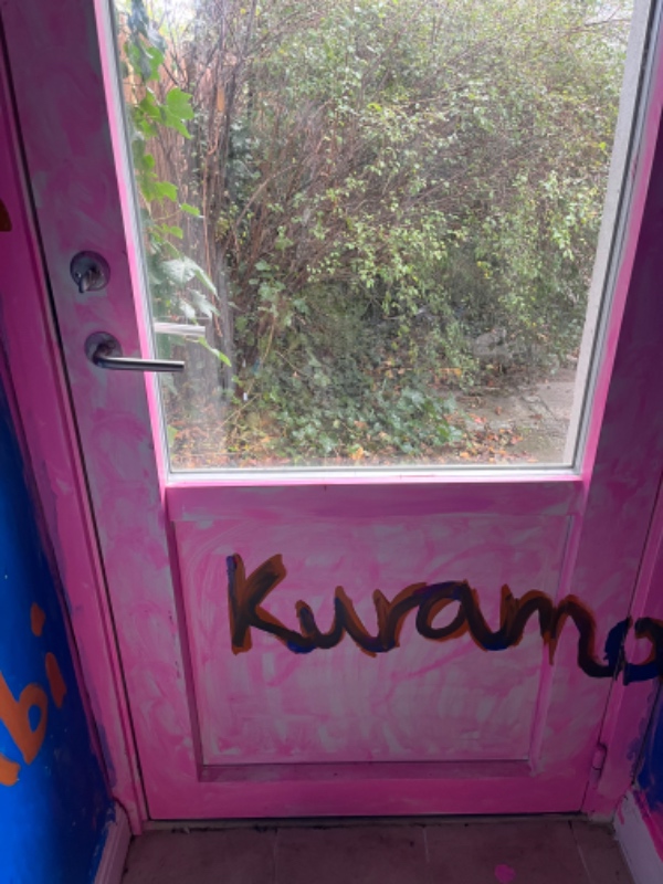 montering af kattelem i dør