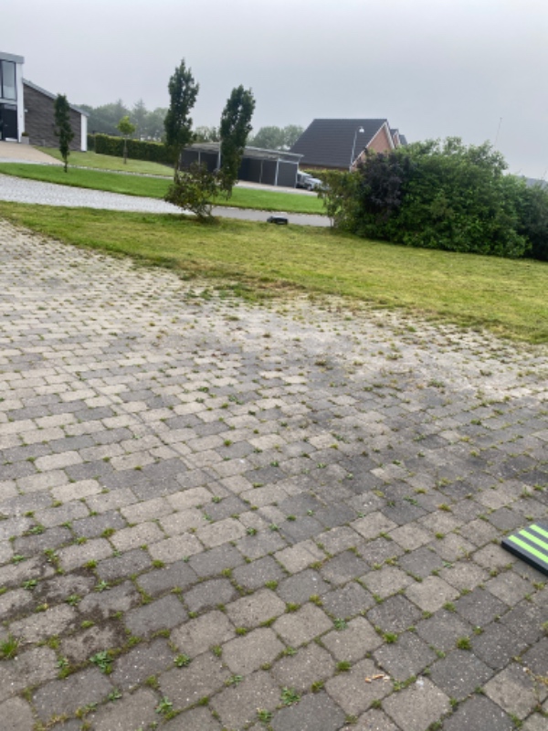 Ukrudt/græs mellem fliser samt et enkelt bed