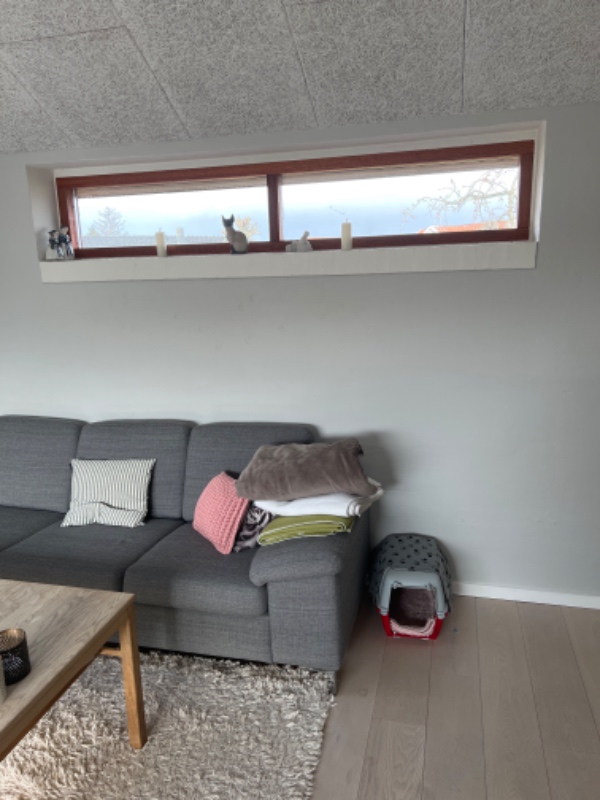 Vindue udskiftes med dør