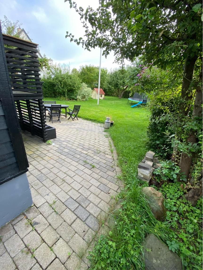 Klippe græs og fjørne ukrudt