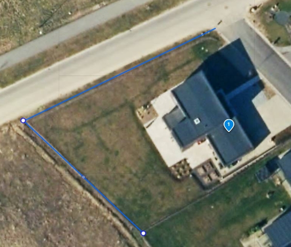 Ukrudt fjernes under 80lbm bøgehæk (lav hæk)