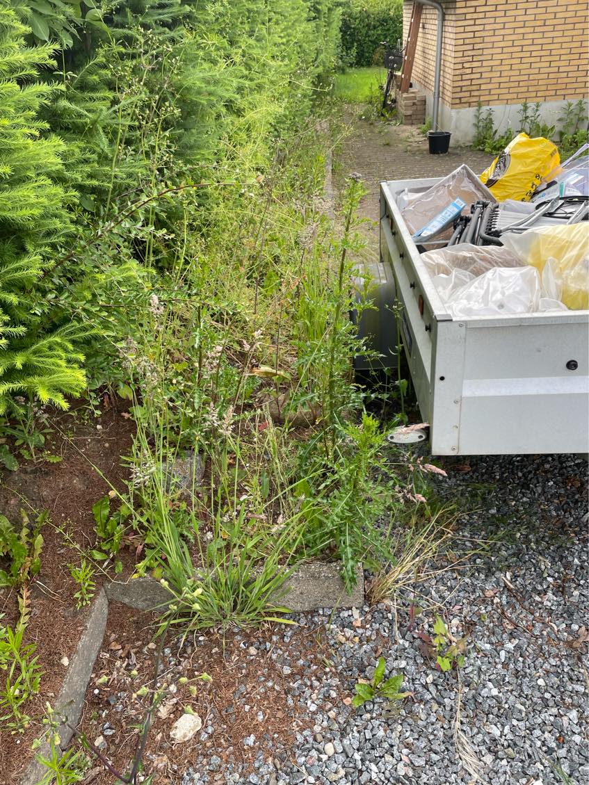 Hjælp til at fjerne ukrudt i indkørslen