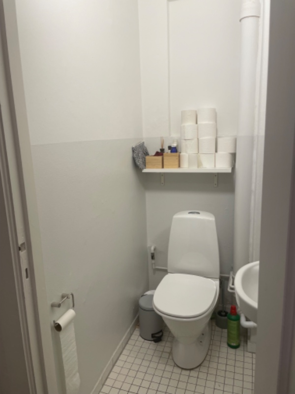 Maling af lille toilet