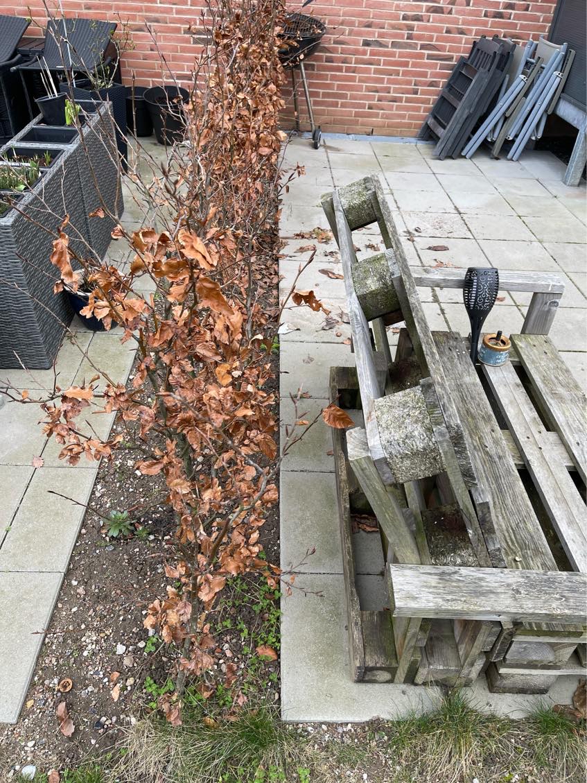 Fjern ukrudt fra terrasse