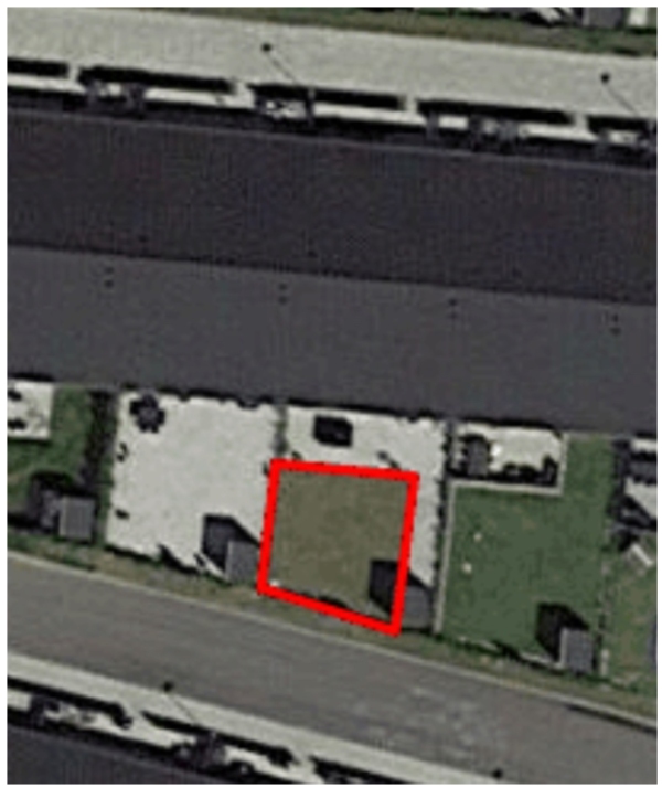 Klippe liguster hæk trimmes