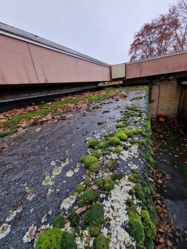 Fjernet mos fra tag over en ejerforenings skure (kræver faktura udskrivelse)