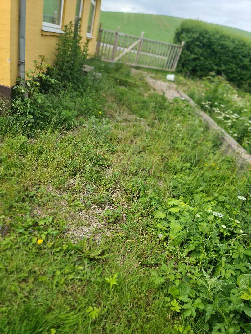 Fjernelse af jord/perlesten