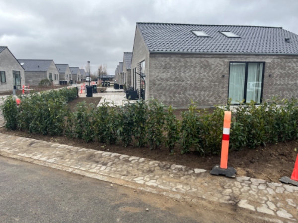 Levering og udlægning af rullegræs