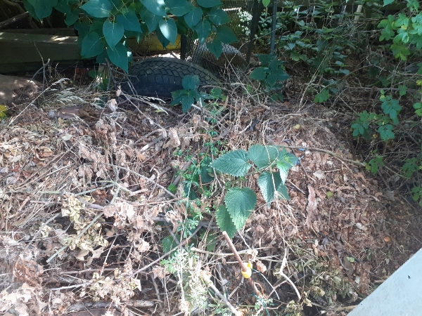 Haveaffald køres væk