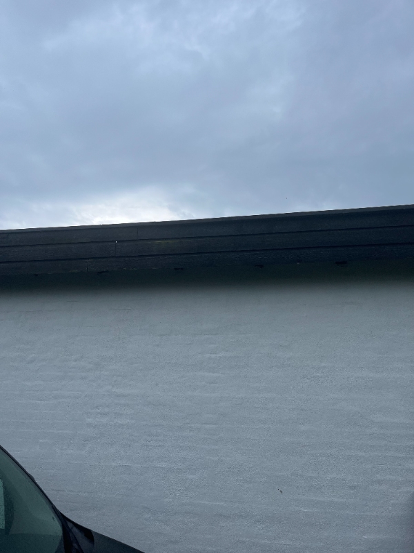 Udskiftning af brædder og tagrende