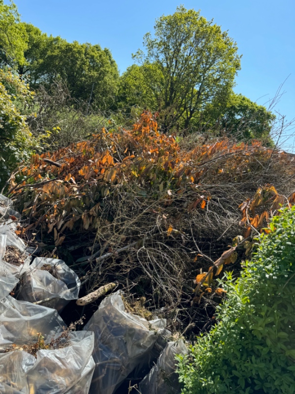 Haveaffaldsafhentning i Kolding