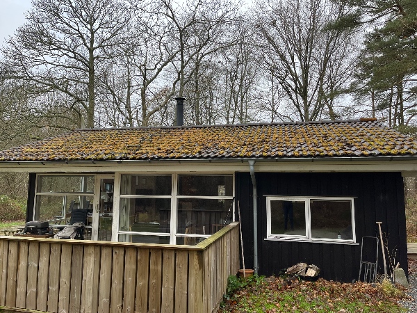 Feje mos fra tag på sommerhus