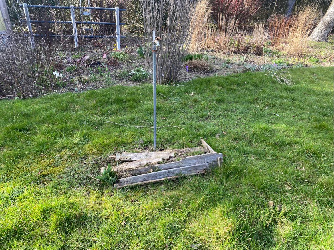 Bortskaffelse af ting til genbrugen