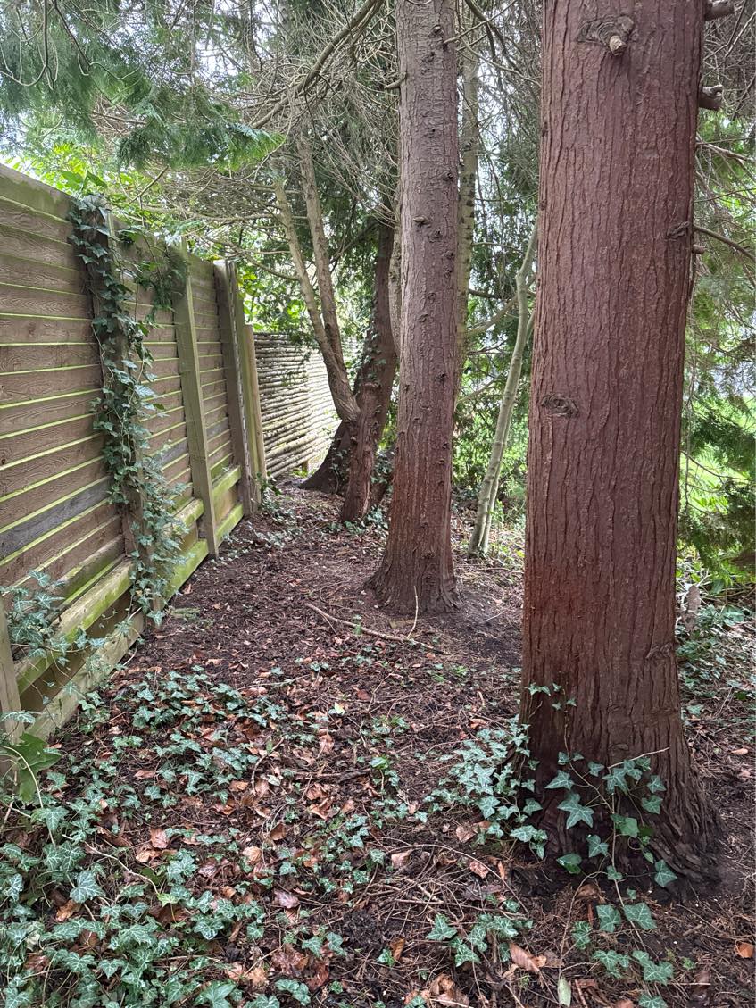 Havearbejde - fjerne træer og stubfræse