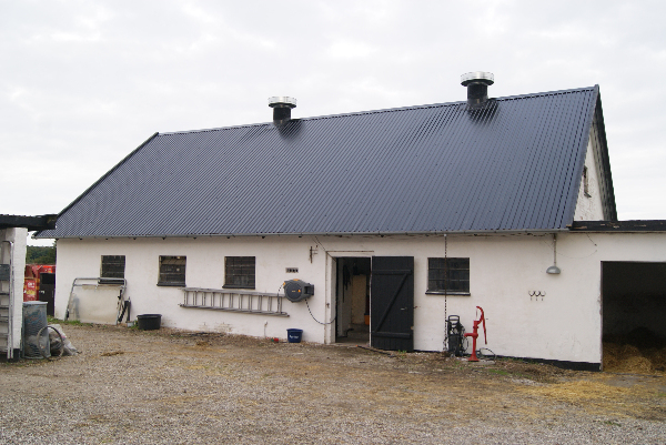 lidt kalkning af endegavle på staldbygning og sort maling af træværk på hus og stald samt carport.