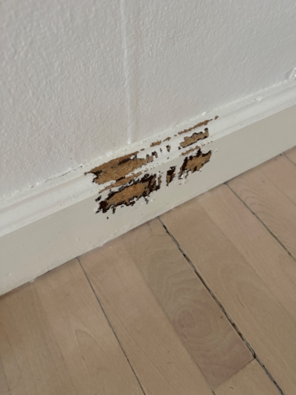 Fraflytning af lejlighed (lidt maling og andre småreparationer).