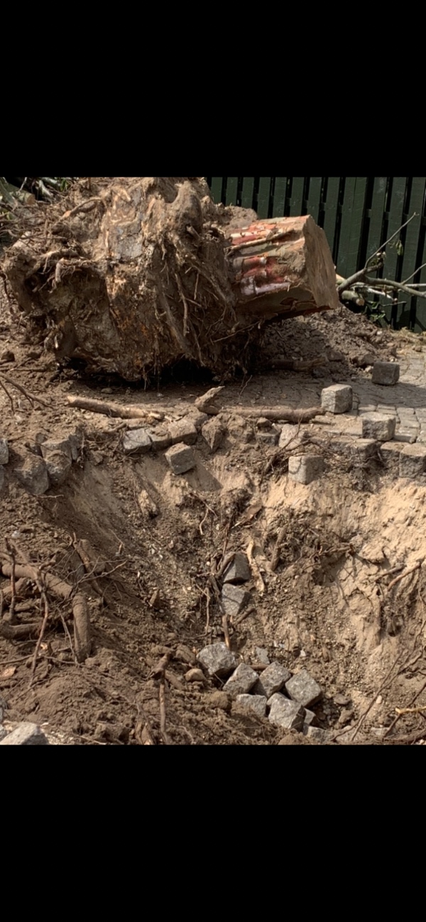 Fjerne en stor trærod som ligger I indk